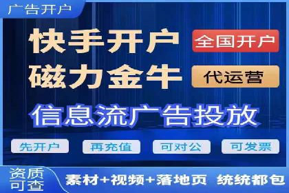 专业SEM代运营公司案例分析